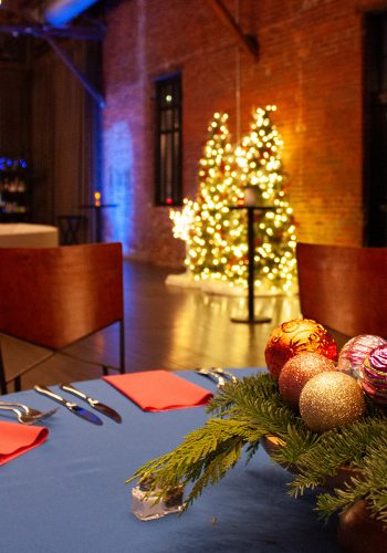 HLCH-Holiday-ElaineBell-ConwayCenter-Decor-14-WEB